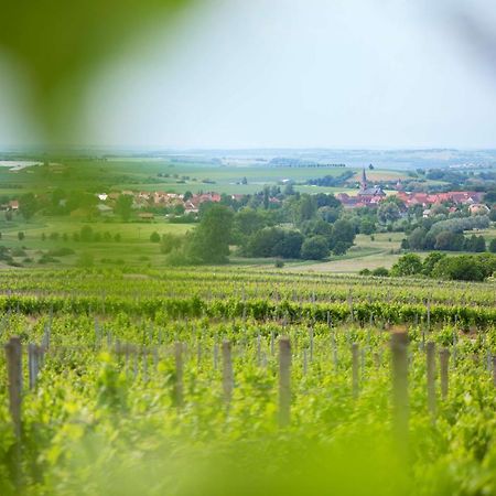 Weingut Schilling Hotel Seinsheim Buitenkant foto