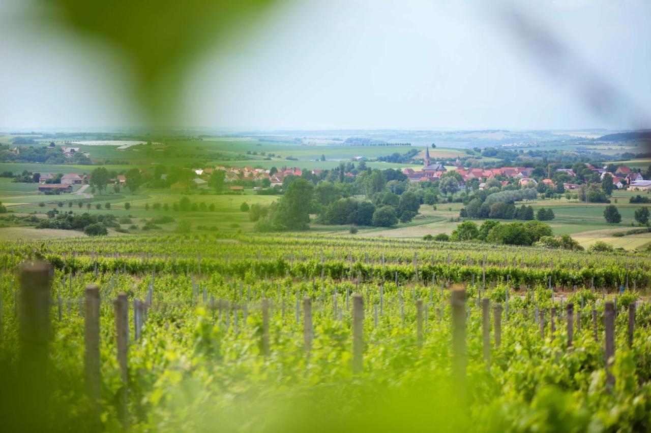 Weingut Schilling Hotel Seinsheim Buitenkant foto